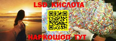 a pvp Свободный