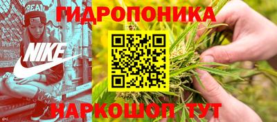 apvp Севастополь