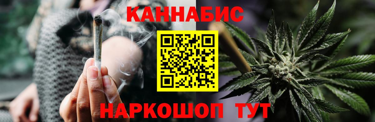 Каннабис семена Ачхой-Мартан